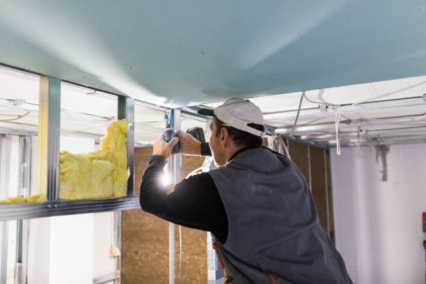 Best DIY Insulation Kits and Guidance in Tremont, IL