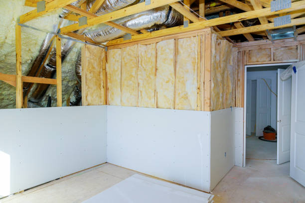 Best Eco-Friendly Insulation in Tremont, IL