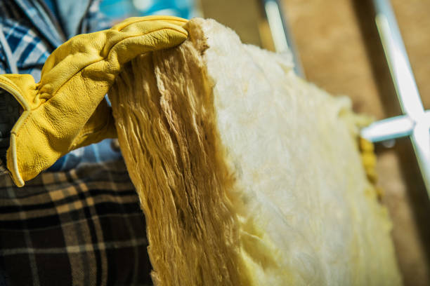 Best Geographic-Specific Insulation Services in Tremont, IL