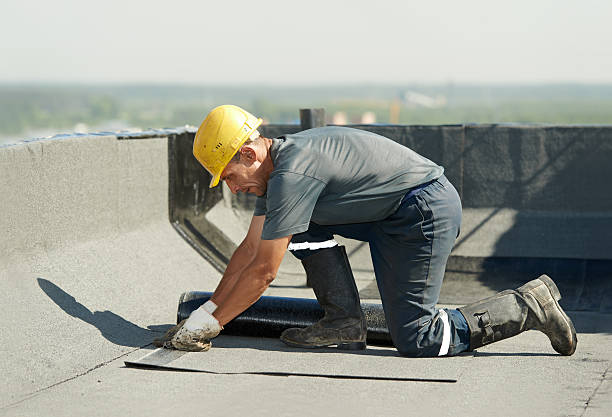 Best Residential Insulation in Tremont, IL