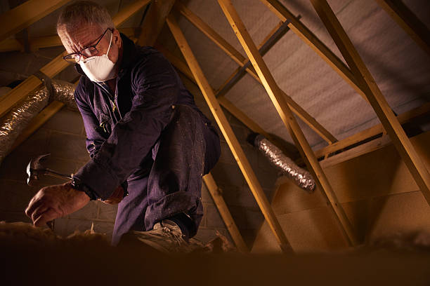 Types of Insulation We Offer in Tremont, IL